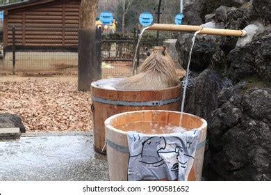 Capybara Hot Spring Stock Photo (Edit Now) 1900581652