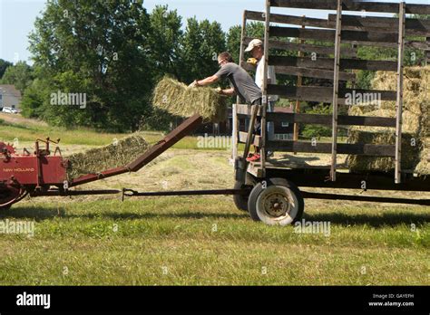 Harvesting hay Stock Photo - Alamy