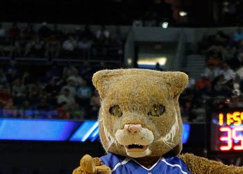 Ranking the SEC Mascots | Bleacher Report