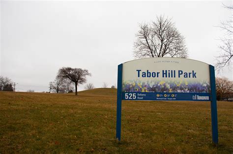 Tabor Hill Park in Toronto is on top of one of Ontario's oldest ...