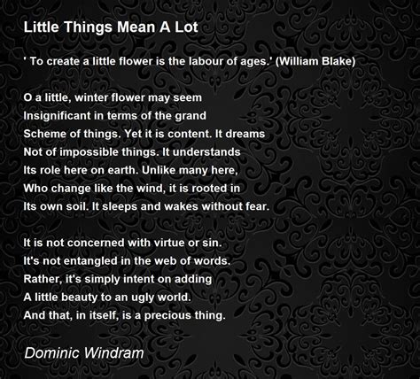 Little Things Mean A Lot Poem by Dominic Windram - Poem Hunter