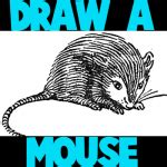 How to Draw a Mouse with Step by Step Mice Drawing Tutorial – How to Draw Step by Step Drawing ...