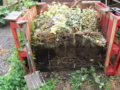 Making Compost at Home | The Tree Center™