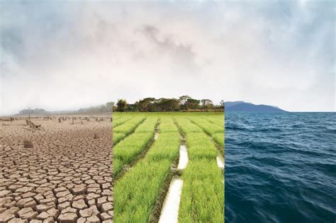 Climate atlas finds summers, winters in India to get warmer, Kharif season to see more rainfall