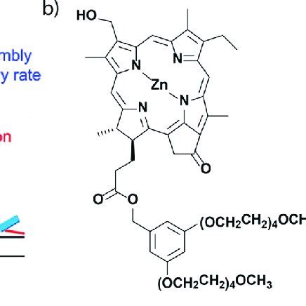 (PDF) Solute–Solvent Interactions in Modern Physical Organic Chemistry: Supramolecular Polymers ...