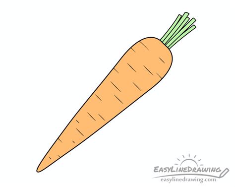 How to Draw a Carrot Step by Step - EasyLineDrawing