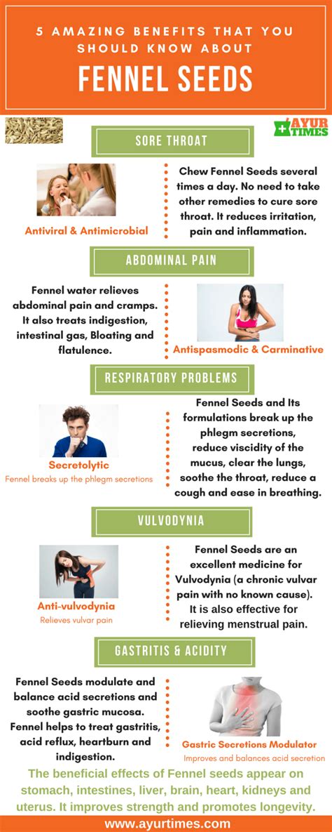 Fennel Seeds | Saunf Benefits For Abdomen, Pain, Sore Throat