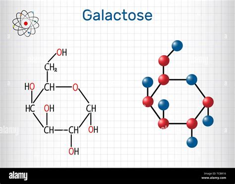 Galactose Structure Diagram