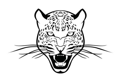 Leopard drawing and sketch 2121367 Vector Art at Vecteezy