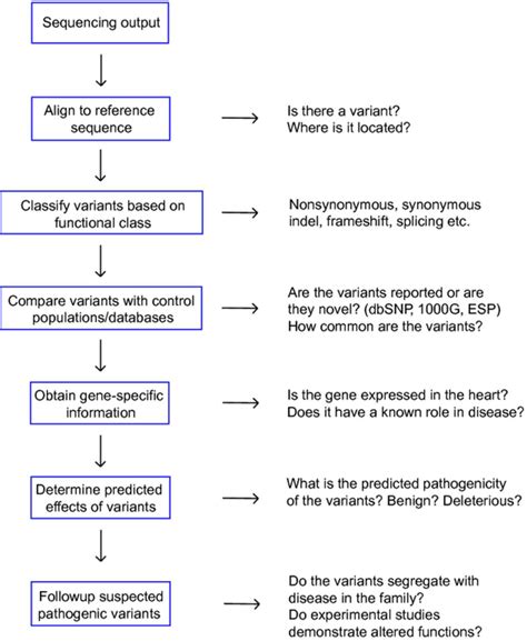 Flow chart showing steps for DNA sequence analysis. ESP indicates Exome... | Download Scientific ...