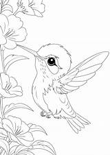 Premium Vector  Coloring Page A Joyful hummingbird Sipping Nectar From sketch template