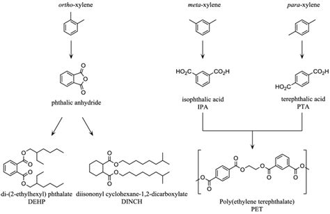 Oxidation of petroleum derived xylene isomers. | Download Scientific Diagram