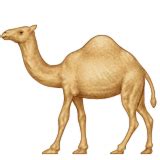 Dromedary Camel Emoji - Copy & Paste - EmojiBase!