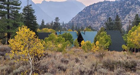 Home - The Four Seasons June Lake Cabins