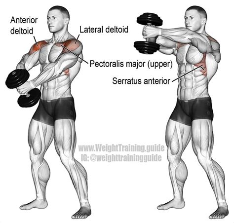 Simple Mid Delt Workout for Burn Fat fast | Fitness and Workout ABS ...