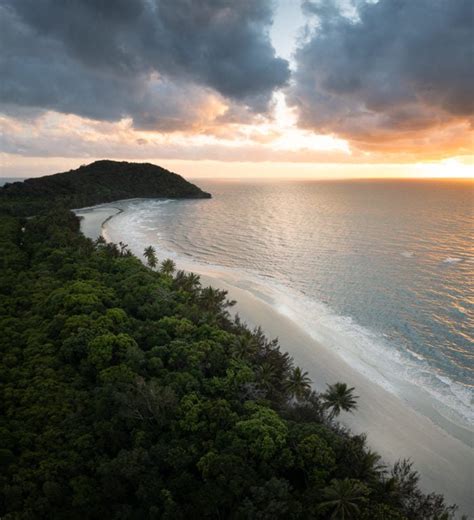 7 Best Cape Tribulation Tours & Activities in 2023 (Reef & Daintree ...