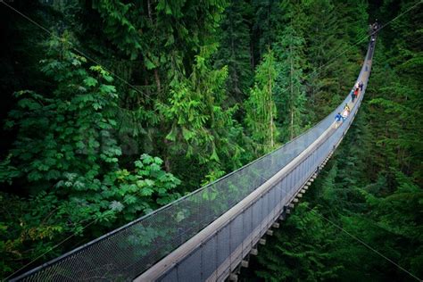 Capilano Suspension Bridge – Songquan Photography