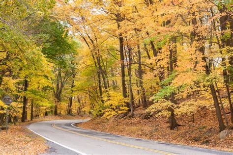 Country Road in Autumn stock photo. Image of people, paved - 78087052