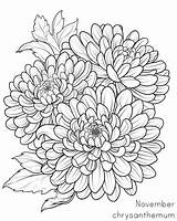 Birth Flowers Coloring Pages sketch template