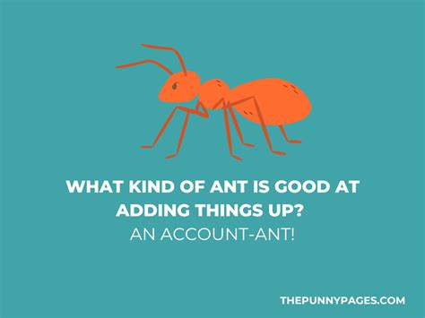 100+ Funny Ant Jokes & Puns - ThePunnyPages