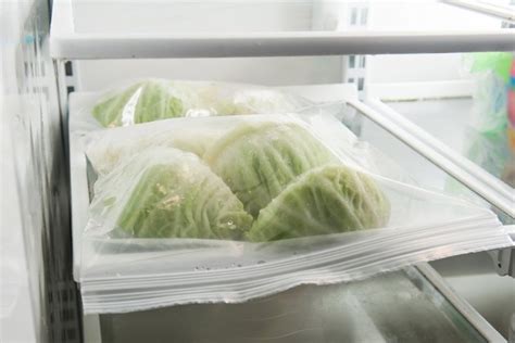 How to Freeze Cabbage Without Blanching It | Hunker