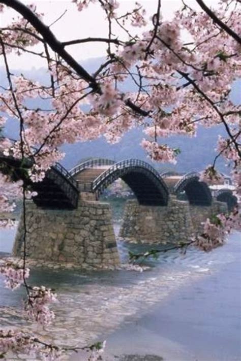 Ponte Kintai, Iwakuni, Japão | Wonders of the world, Places to travel, Beautiful places