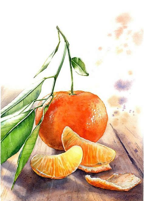 ..great picture... | Watercolor fruit, Watercolor food illustration, Watercolor food