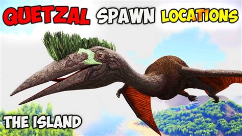 ARK The ISLAND | BEST Quetzal Spawn LOCATIONS - YouTube