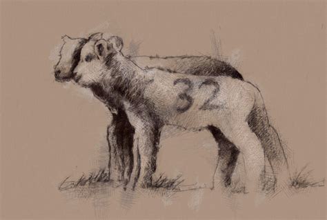 Spring lambs | SeanBriggs | Spring lambs, Sketch a day, Lamb