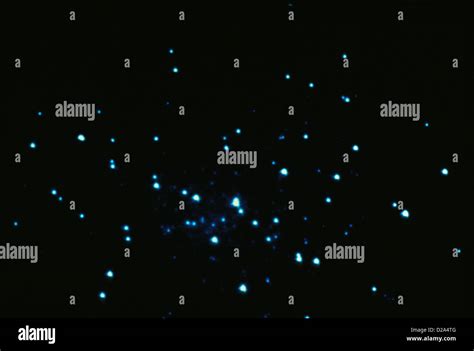 White star cluster hi-res stock photography and images - Alamy