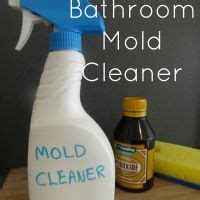 Bathroom Mold Cleaner — CraftBits.com