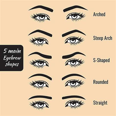 Types Of Eyebrow Shapes