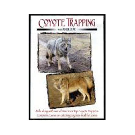 June, Mark -Coyote Trapping Volume I DVD - Sterling Fur Company