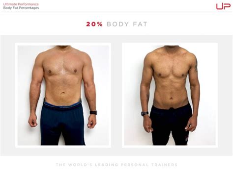 Male Body Fat Percentage Comparison [Visual Guide] | Ultimate Performance