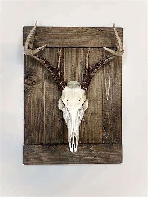 Shutter Style Deer European Skull Mount Wood Plaque Wall - Etsy | Deer skull decor, Deer head ...