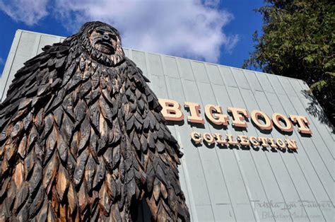 Small Town, Big Legend: Willow Creek Celebrates Bigfoot | KQED