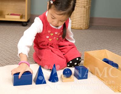 Montessori Sensorial Activities and Material for Sensory Processing Disorder - NAMC Montessori ...