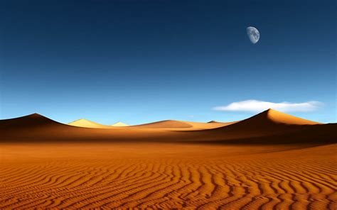 🔥 [50+] Desert Scenes Wallpapers | WallpaperSafari