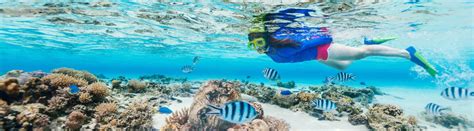 The Top 7 Snorkeling Tours in Grand Cayman | Cayman Islands Tourbase