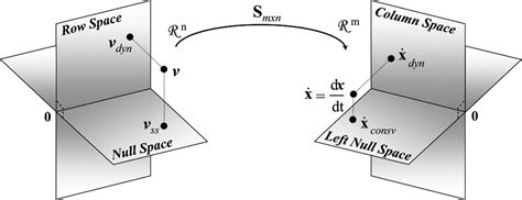 The Convex Basis of the Left Null Space of the Stoichiometric Matrix ...