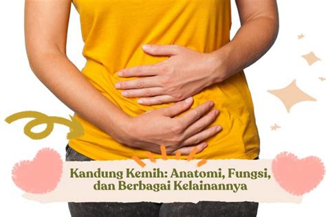 Kandung Kemih: Anatomi, Fungsi, dan Berbagai Infeksinya