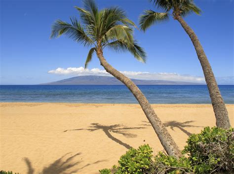 West Maui Hotels & Rentals | Hotels in Maui: Lahaina, Kaanapali, Napili