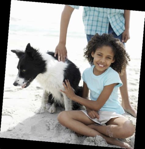 Dog Bite Prevention - Delaware Health and Social Services - State of Delaware