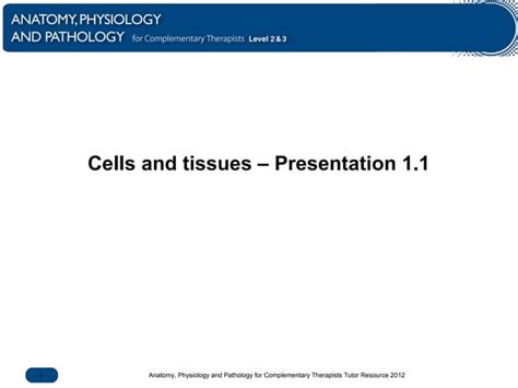 Cells and tissues | PPT