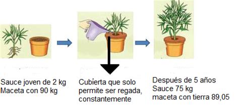 Banco de Preguntas [Banco de preguntas-CN6 OA01-1036419] Ciencias Naturales 6 - Curriculum ...