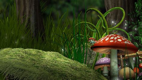 Mushroom Wallpapers • TrumpWallpapers