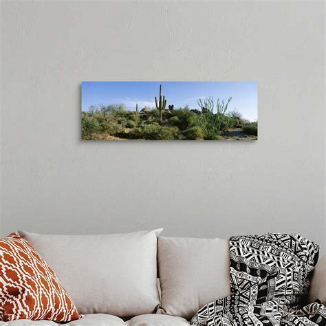 Sonoran Desert Saguaro Cactus Arizona Wall Art, Canvas Prints, Framed Prints, Wall Peels | Great ...