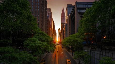 city, road, sunset, building, skyscraper, trees, urban, New York City ...