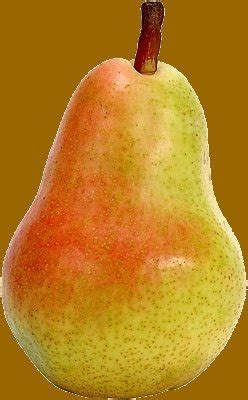 POETIC JUSTICE: I RECIEVED A WAR PEAR TODAY