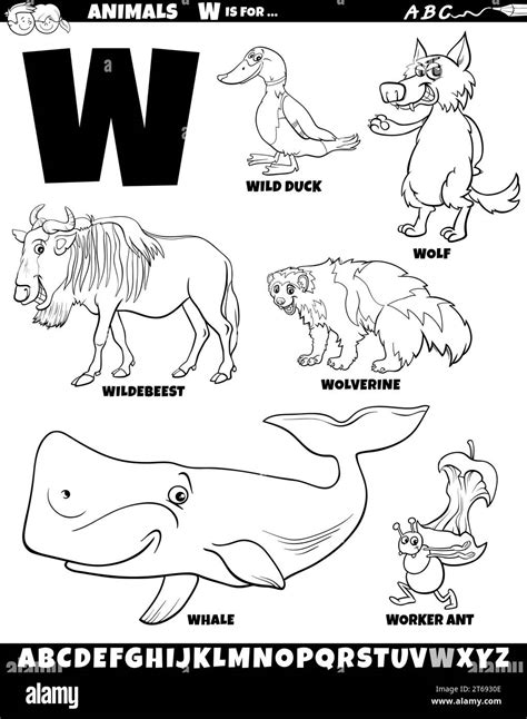 Cartoon illustration of animal characters set for letter W coloring ...